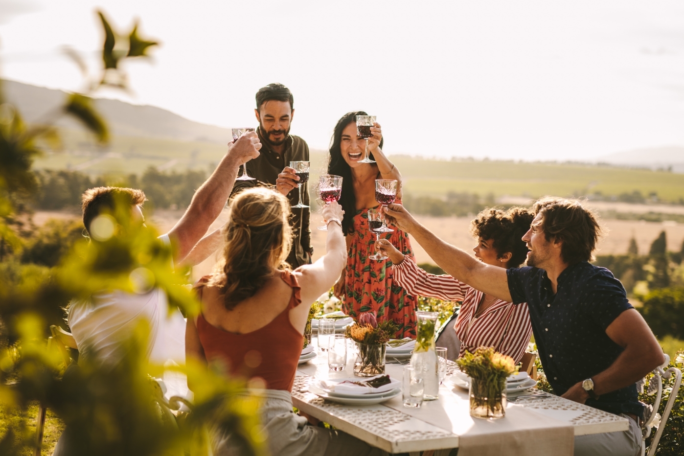 image of vineyard landscape
